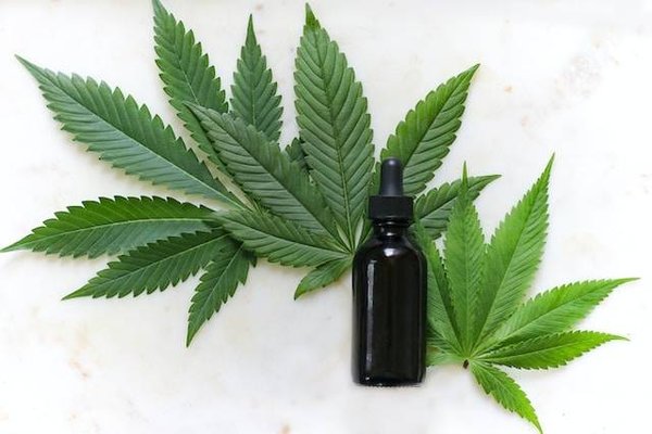 Quelles sont les maladies que le CBD peut soulager ou prévenir ?