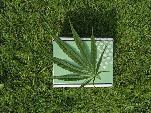 Comment doser le CBD en fonction de son poids, de son âge et de sa tolérance?