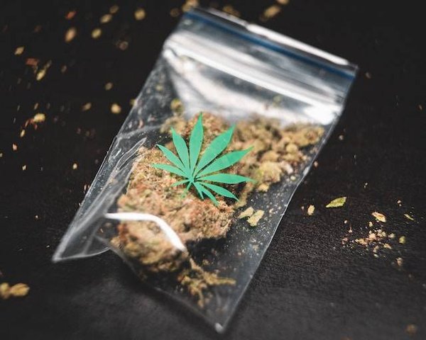 Comment conserver ses aliments à base de CBD ?
