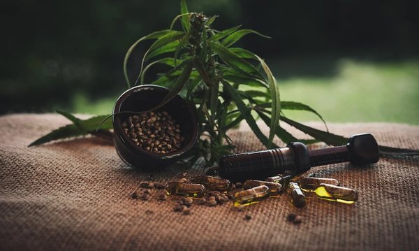 CBD : sous quelle forme pour quel besoin ?